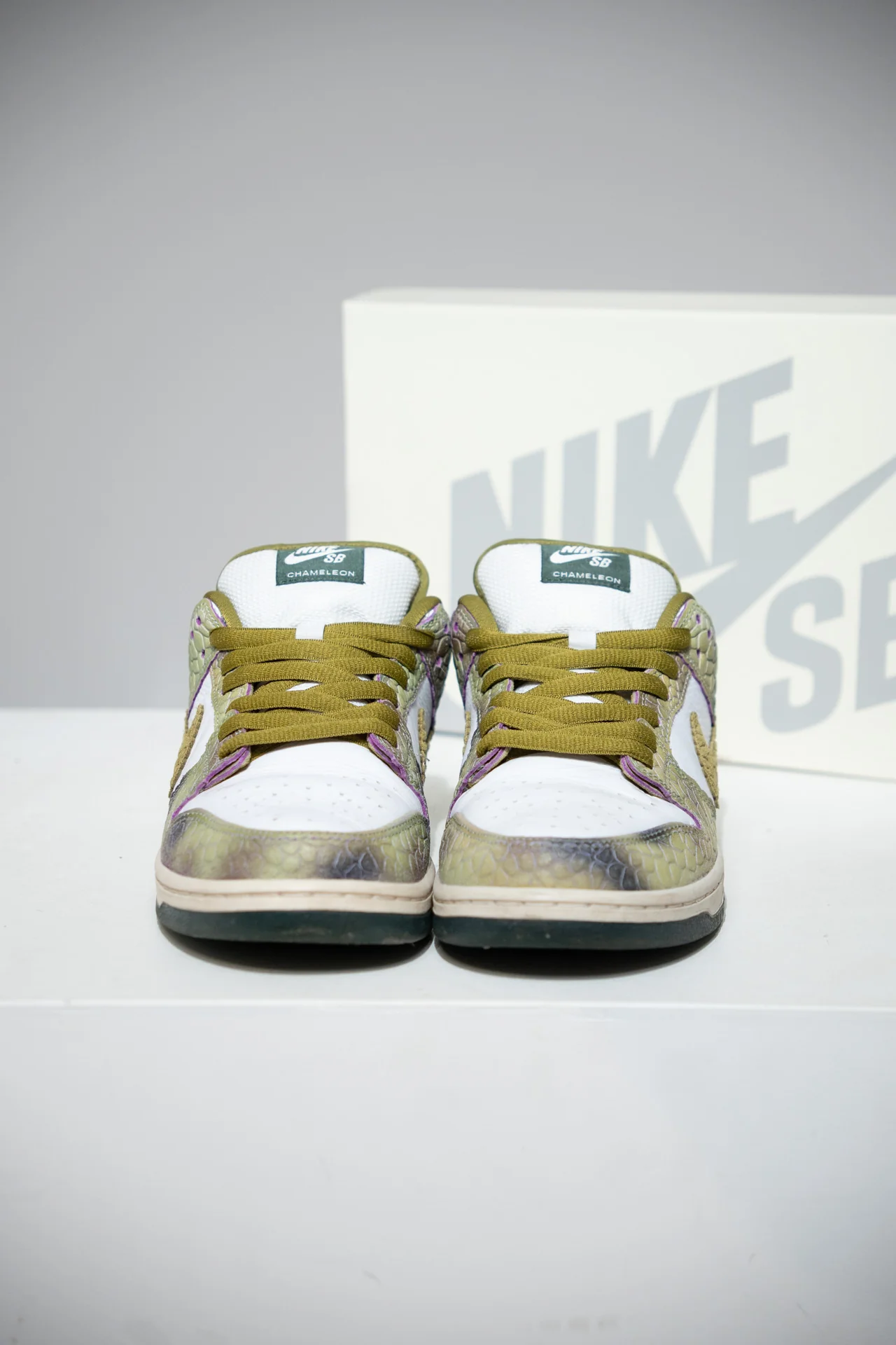 Dunk SB Chameleon (Taille 42,5) - Image 2