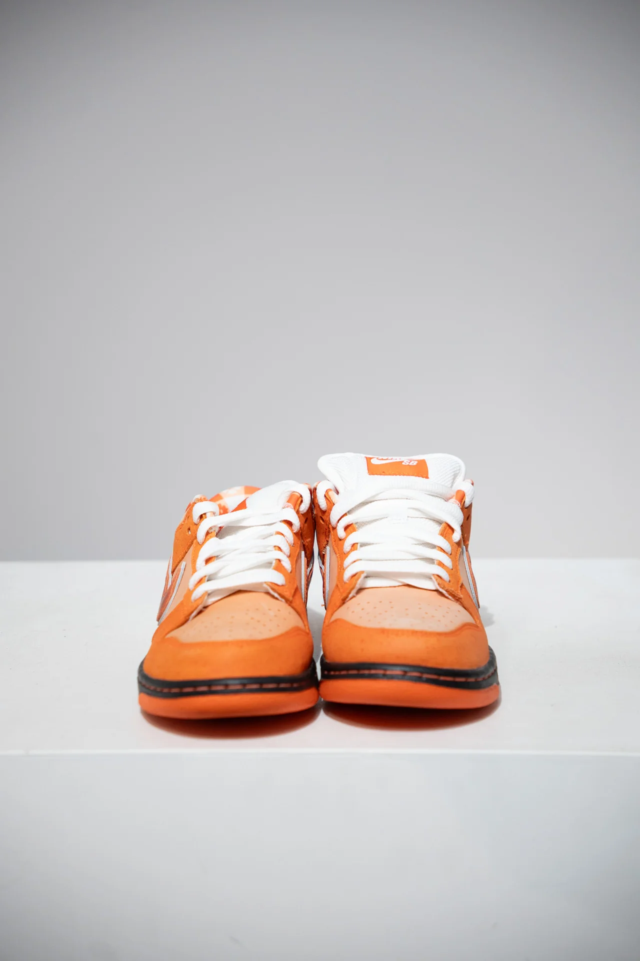 Dunk SB Lobster Orange (Taille 38,5) - Image 3