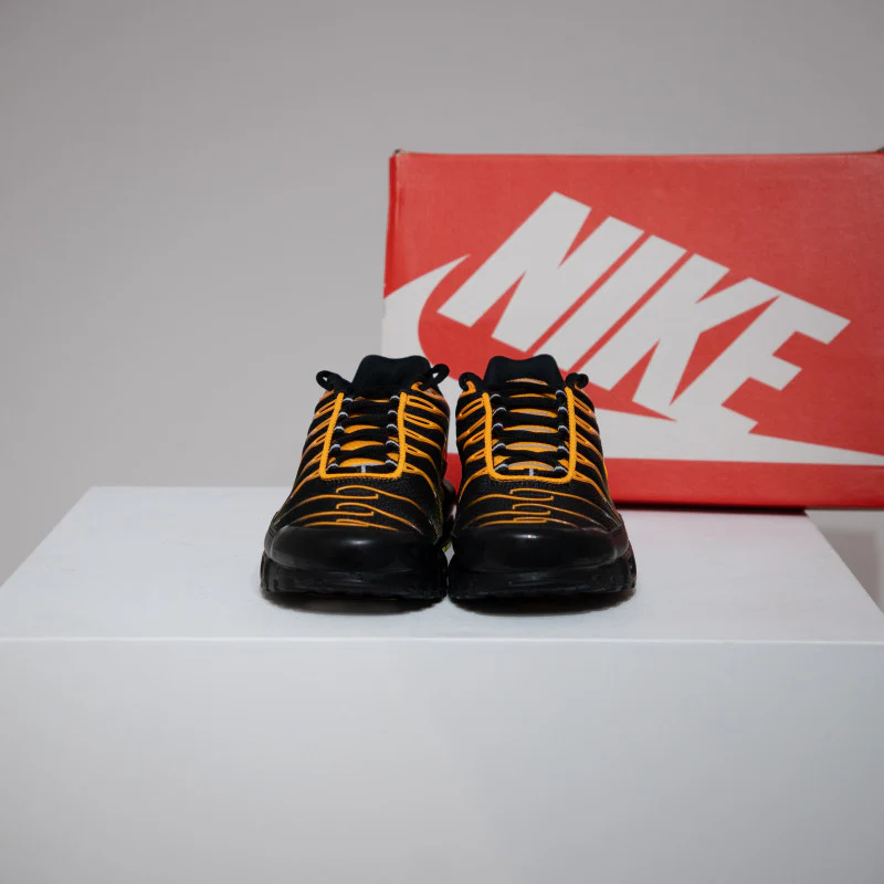 Air Max Plus (TN) Sundial Black (Taille 45,5) - Image 2